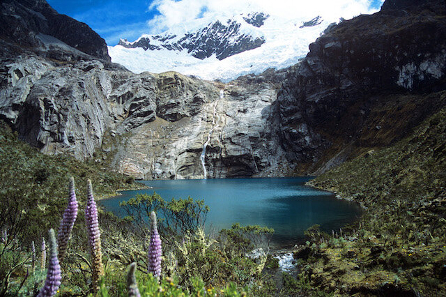 “Do të të bekoj … ti vet do të jesh bekim.” (Zan. 12:2)