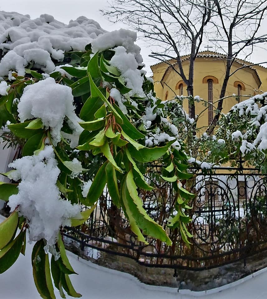 Η φωτογραφία της ημέρας