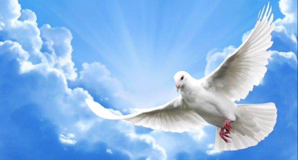 “Paqja dhe qetësia shpirtërore”!