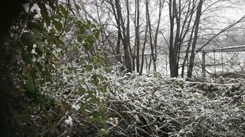 Χιονίζει στη Βόρεια Ελλάδα – Πού χρειάζονται αλυσίδες