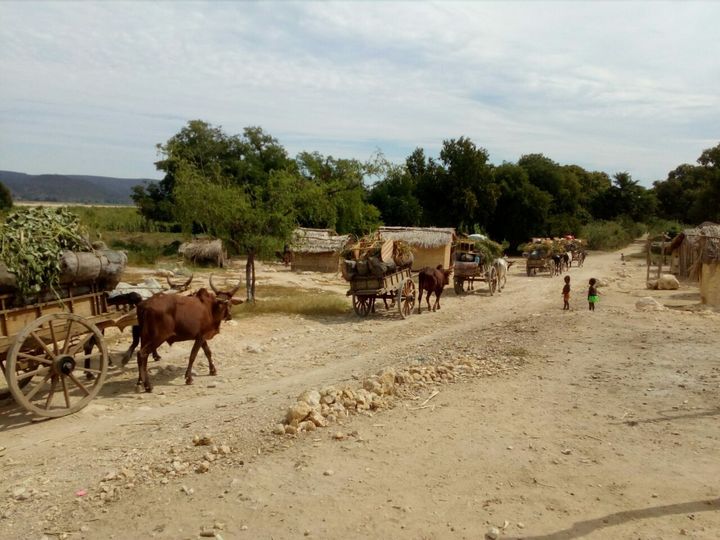 “Κι αν η ανθρωπότητα ήταν ένα καραβάνι;”