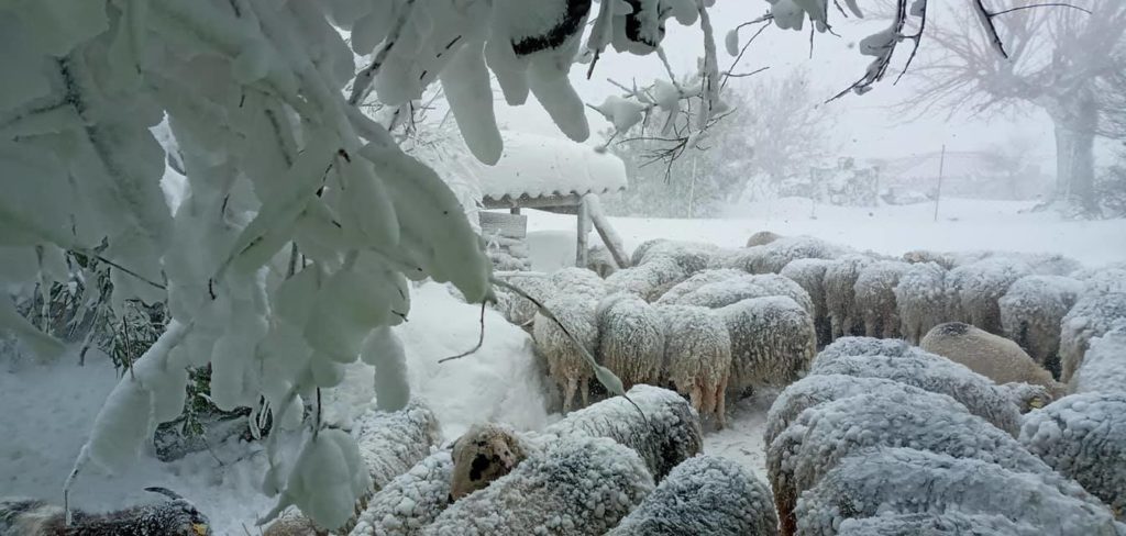 Η «Μήδεια» επισκέφτηκε και την Ίμβρο (ΦΩΤΟ)