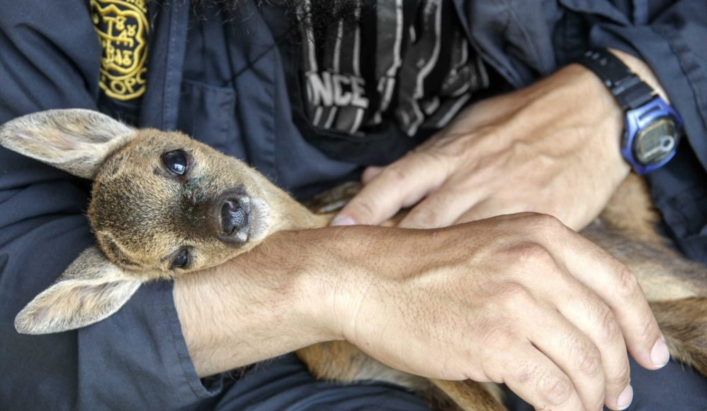 Κάνοντας το καλό…