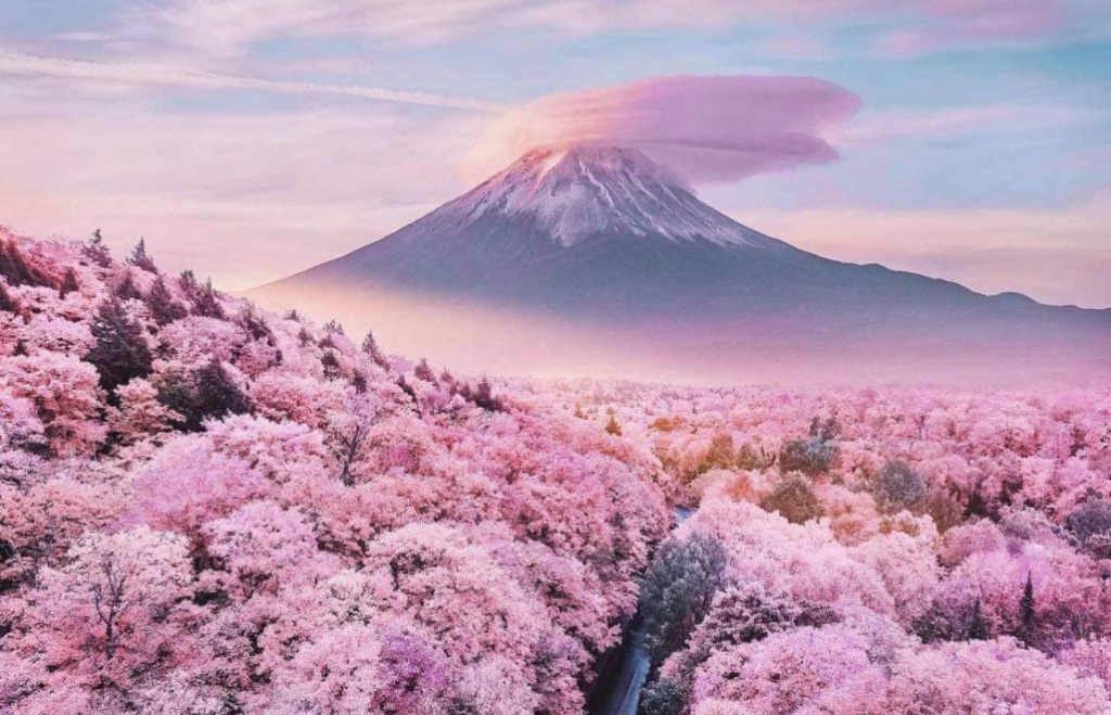 “Gëzohuni dhe ngazëllohuni, sepse shpërblimi juaj është i madh në qiej”! …(Mt. 5:12).