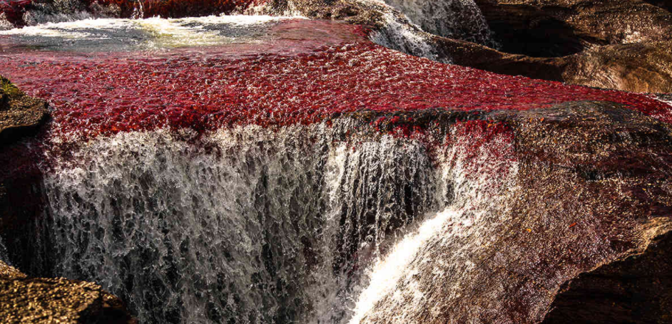 “Gëzohuni përherë në Zotin, dhe përsëri do t’ju them: Gëzohuni!” (Fil.4:4).