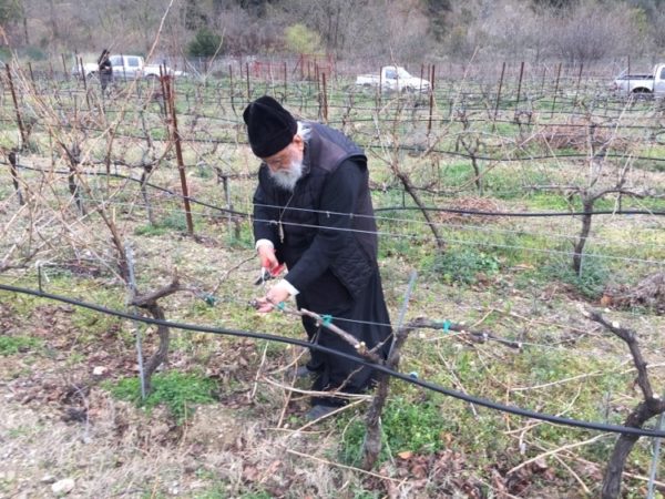 “Η γη είναι η ζωή μας και πρέπει να την αγαπάμε”