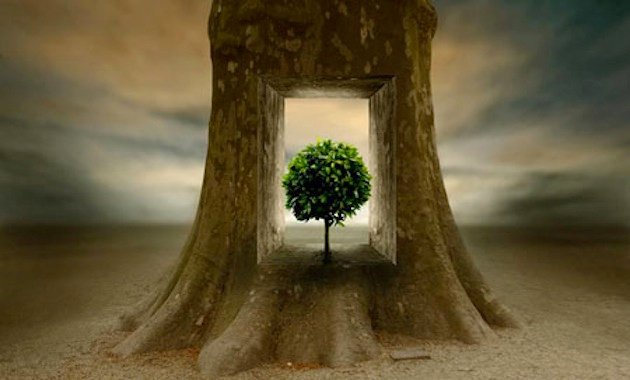 «Ο πόνος είναι μια ψυχική δύναμη»