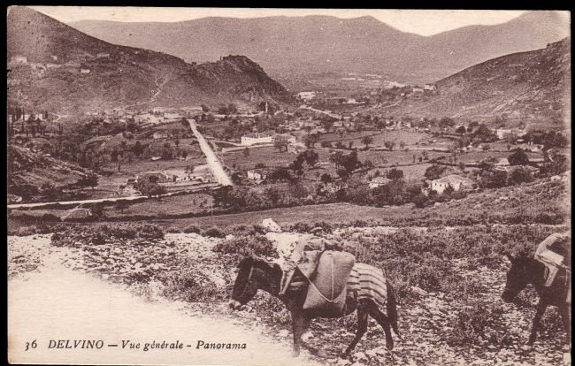 Η απελευθέρωση του Αργυροκάστρου και του Δελβίνου