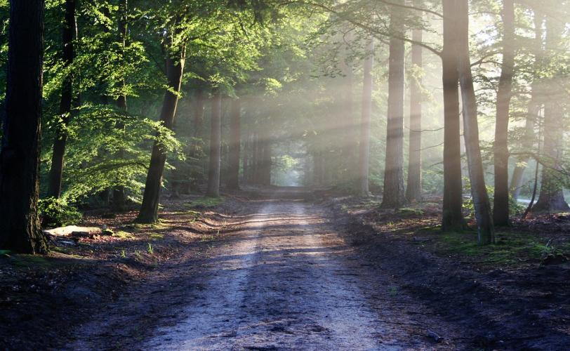 Η αόρατη ζωή της ψυχής