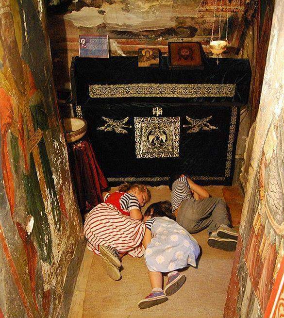 Μια γλάστρα πίστης που ψάχνει κάποιον να την φροντίσει