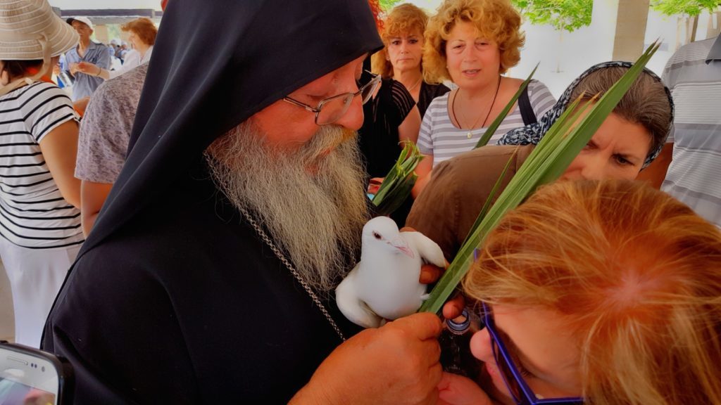 Του Οσίου Γερασίμου και ο σπάνιος ακρίτας της Ερήμου