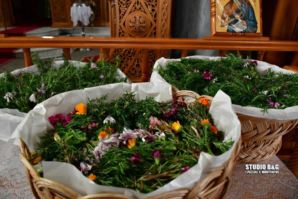 Σταυρολούλουδα στη Νέα Κίο (ΦΩΤΟ)