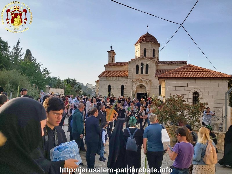 مسيرة سعف النخيل من دير بيت فاجي