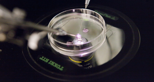 Η Ρωσική Εκκλησία για την εξωσωματική γονιμοποίηση