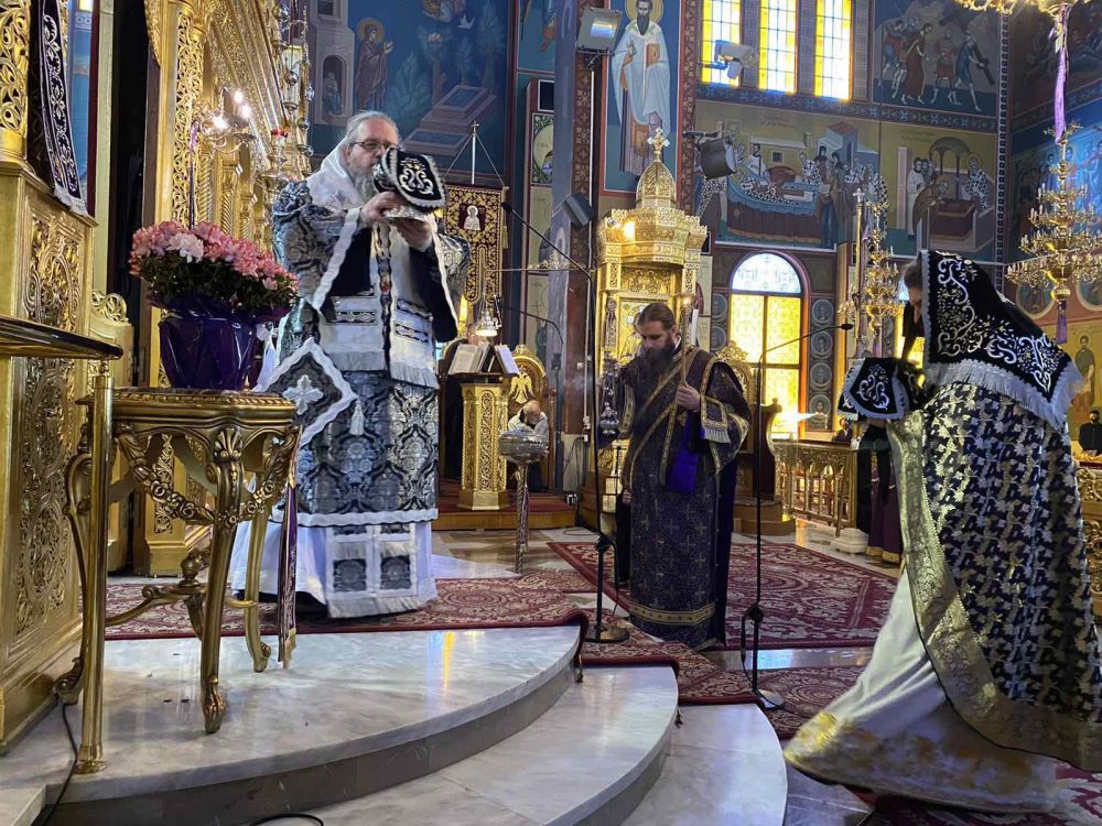 Λαρίσης: Δε συνιστά επίλυση η υποβάθμιση της παιδείας