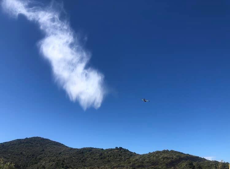 Μετά από θερμή παράκληση στην Παναγία, ο γέροντας σταύρωσε τη φωτιά!
