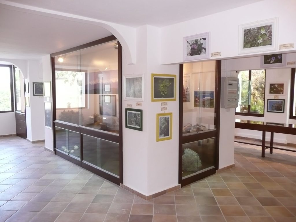 Το Μουσείο Κρητικών Βοτάνων στην ΟΑΚ