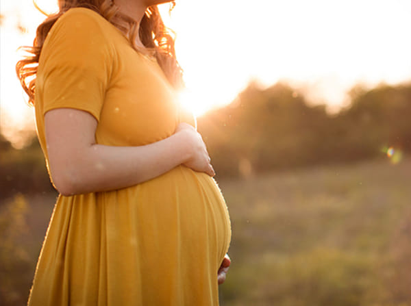 Mbi Familjen e Krishterë