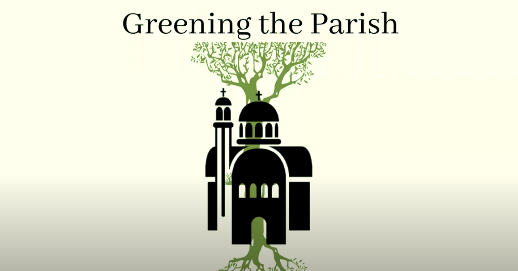 “How-to” Green Your Parish – Episode 7: Creation and Youth Ministry