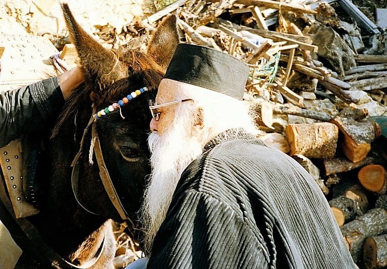 Το γαϊδουράκι του Γέροντος Γεράσιμου Μικραγιαννανίτη