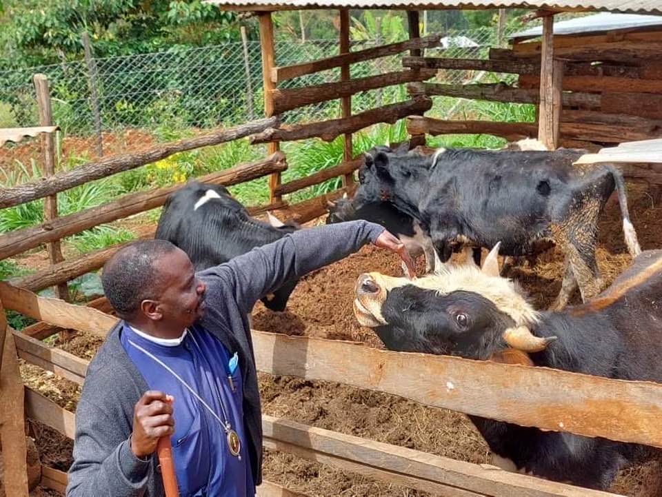 ΑΦΡΙΚΗ: Ο δεσπότης ευλογεί τα ζωντανά (ΒΙΝΤΕΟ)