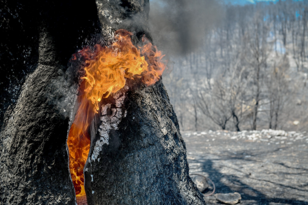 Σε πύρινο κλοιό για ακόμη μια ημέρα η χώρα – Συμπαράσταση στην Ελλάδα από τον Ορθόδοξο κόσμο στο εξωτερικό