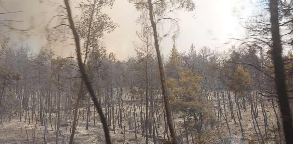 Σε κατάσταση έκτακτης ανάγκης η Δημοτική Ενότητα Ελυμνίων