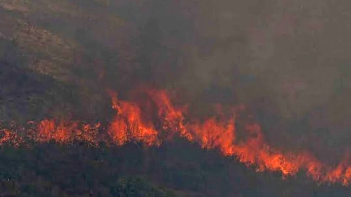 Καλαμάτα: Σε εξέλιξη η φωτιά στο Βασιλίτσι