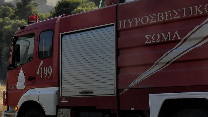 Έξι φωτιές από κεραυνούς σε Μάνδρα και Πόρτο Γερμενό