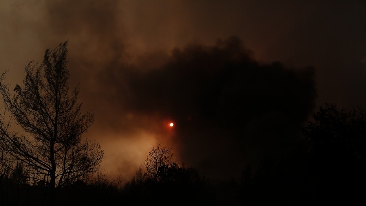 Στη Μαλακάσα έφτασε η πυρκαγιά