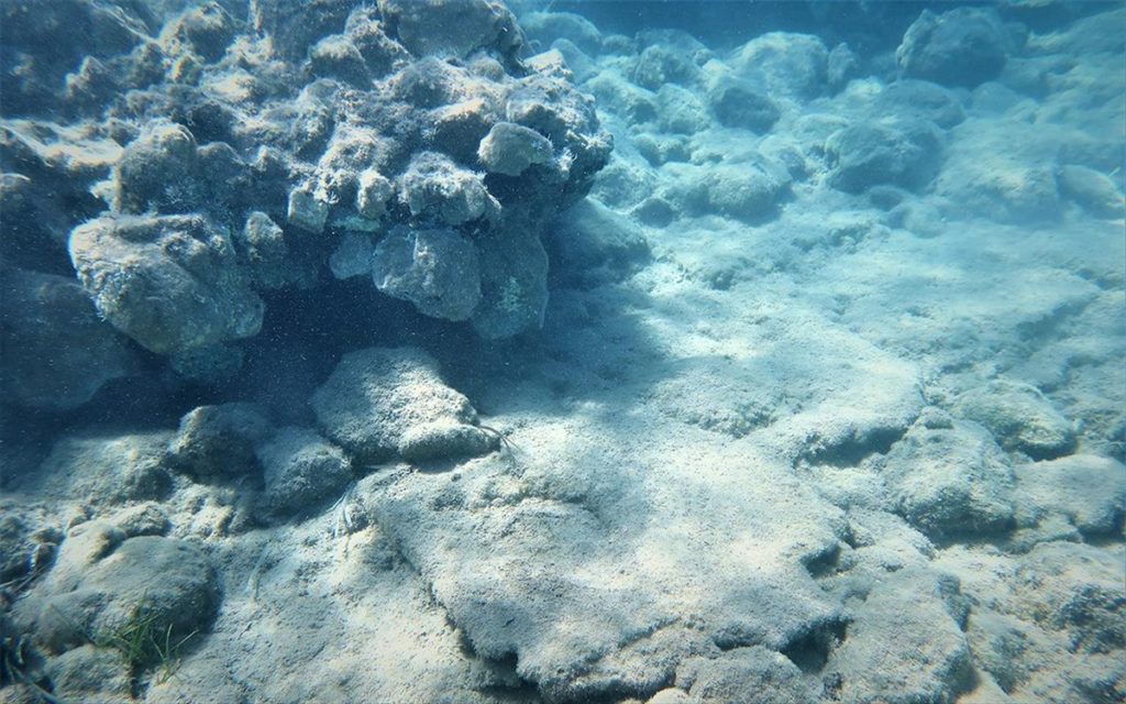 Υποβρύχια έρευνα στον κόλπο Παλαικάστρου Σητείας