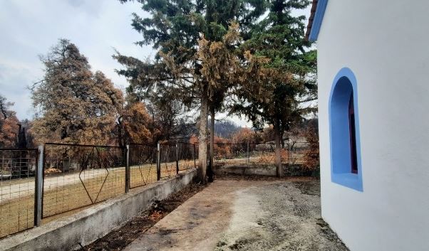 Η ΦΩΤΟΓΡΑΦΙΑ ΤΗΣ ΗΜΕΡΑΣ: Του Σταυρού στα καμένα