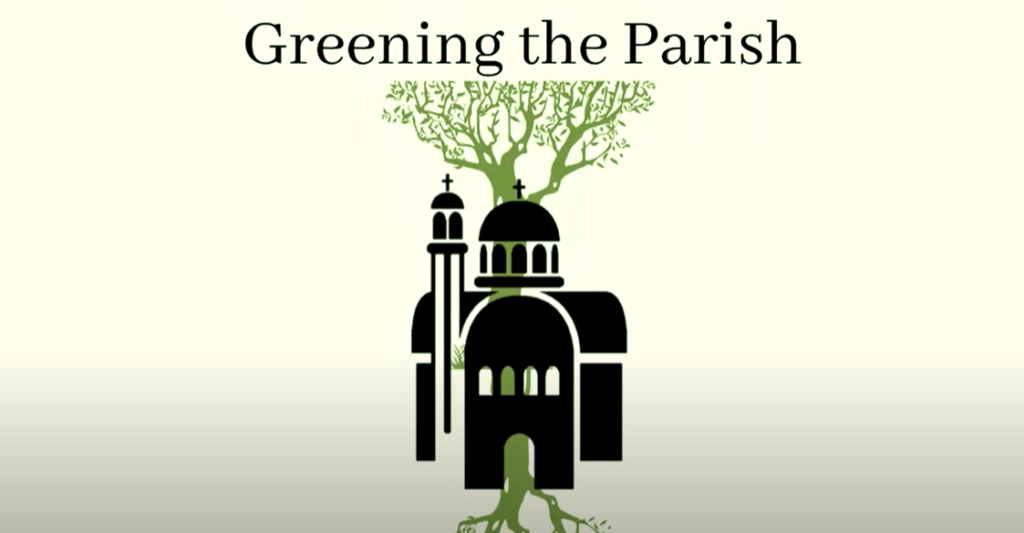 “How-to” Green Your Parish, Episode 20: Creation and Stewardship